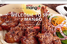 spicy_mango_PORTFOLIO